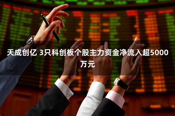 天成创亿 3只科创板个股主力资金净流入超5000万元