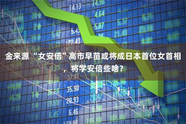 金来源 “女安倍”高市早苗或将成日本首位女首相，将学安倍些啥？