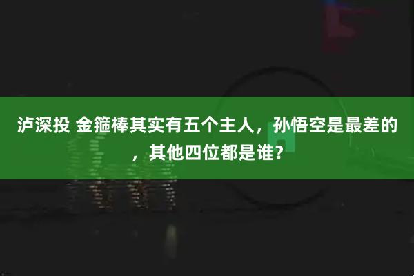 泸深投 金箍棒其实有五个主人，孙悟空是最差的，其他四位都是谁？