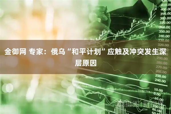金御网 专家:俄乌“和平计划”应触及冲突发生深层原因
