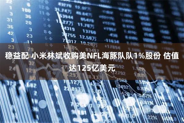 稳益配 小米林斌收购美NFL海豚队队1%股份 估值达125亿美元