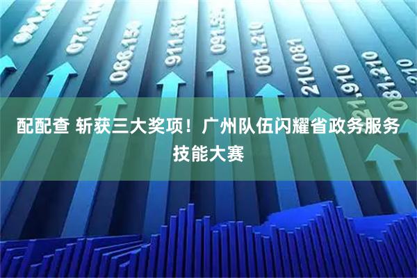 配配查 斩获三大奖项！广州队伍闪耀省政务服务技能大赛